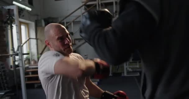 Boxen mit Trainer in Boxhandschuhen Training im Fitnessstudio Mann lächelt Behinderter Sportler mit defekten Beinen sitzt im Rollstuhl — Stockvideo