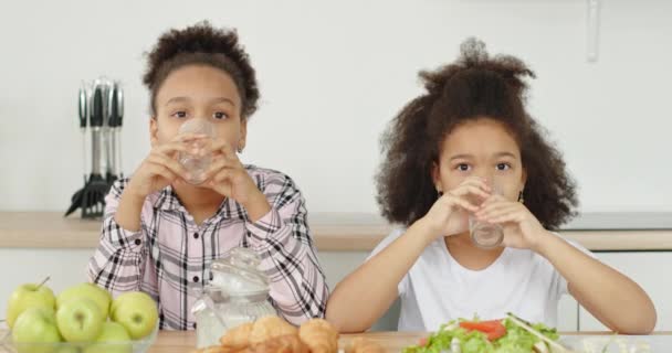 Glada svarta flickor dricksvatten i köket — Stockvideo