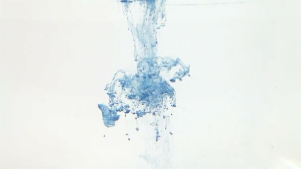 Blaue Tinte im Wasser auf weißem Hintergrund — Stockvideo