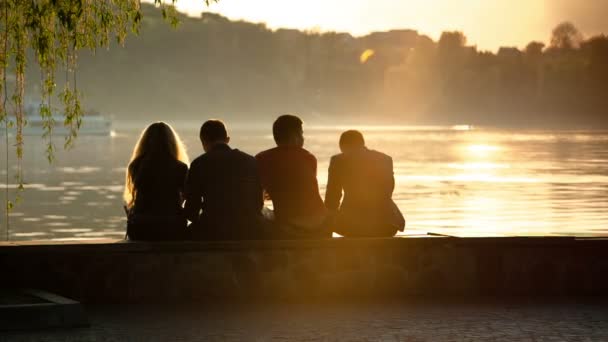 Gruppe von Freunden am Meer — Stockvideo