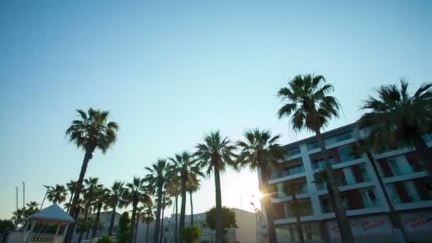 Steadicam beweging: groene palm bomen bij zonsondergang en huizen — Stockvideo