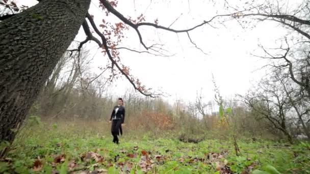 Violinist in woods — Stock Video