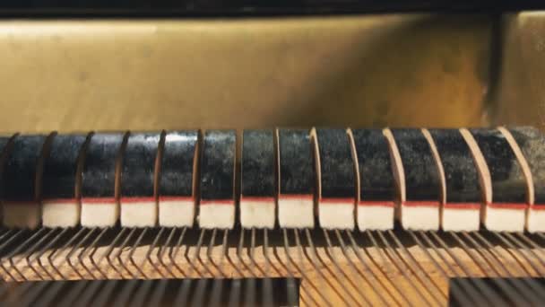 Detalles dentro del piano de cola — Vídeo de stock