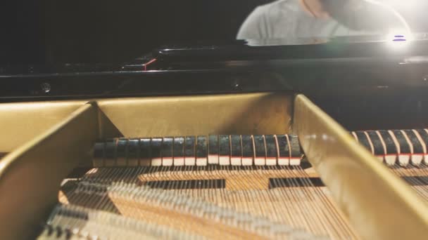 Piano strings en hamers. — Stockvideo