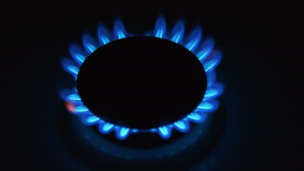 Quema gas azul. Enfoque en el borde frontal de los quemadores de gas . — Vídeos de Stock