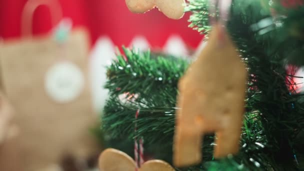 Hut with Gingerbread man cookies and the Christmas tree — Stock Footage Hut with Gingerbread man cookies and the Christmas tree Royalty Free Stock Video