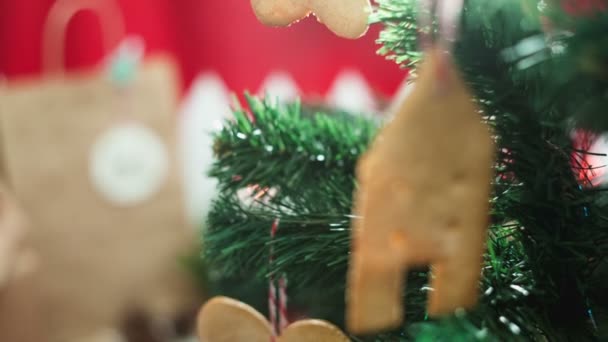 Cabane avec biscuits Gingerbread man et l'arbre de Noël — Video