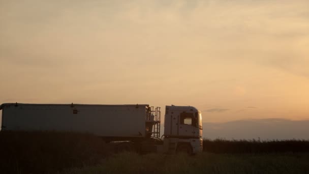 Trucks at sunset prepare to take crop — Stock Video