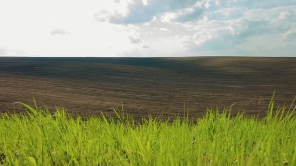 DOLLY MOTION: Campos negros arados y verdes bajo el cielo — Vídeos de Stock