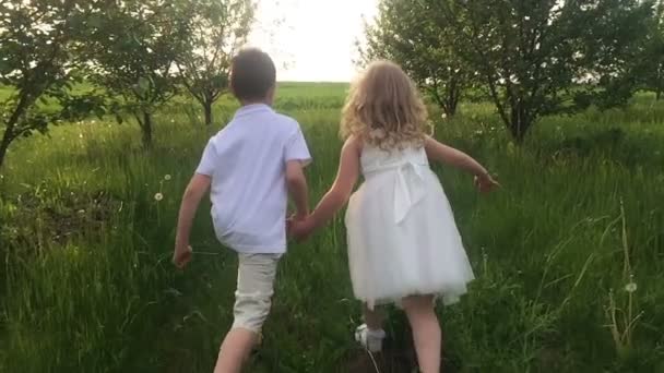 Junge geht mit dem Mädchen in einen Obstgarten. Zeitlupenvideo — Stockvideo