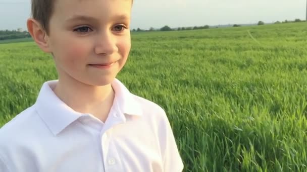 Jeune homme regardant sincèrement dans les yeux d'une jeune fille sur un champ de printemps vert. Mouvement lent . — Video