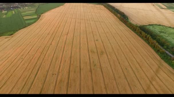 Luchtfoto van velden — Stockvideo