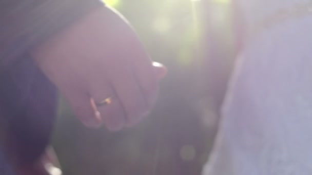 ちょうど結婚 — ストック動画