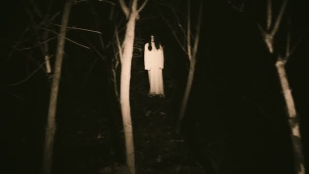 Étrange silhouette dans une forêt sombre et effrayante la nuit — Video