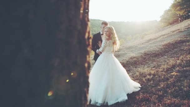 Regard séduisant de la mariée au marié au coucher du soleil dans le parc — Video