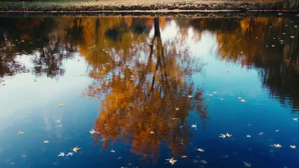 Bright colors of autumn reflected by clear lake — Stock Video