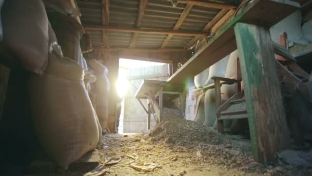 Boy opens the door to the old shop — Stock Video