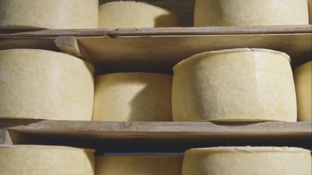 Käse in Holzregalen gelagert - Dolly Motion — Stockvideo