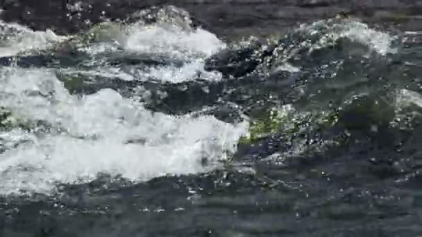 Agua pura de manantial — Vídeos de Stock