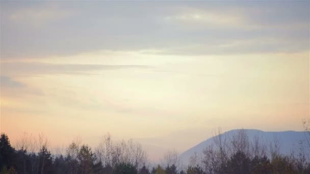 Las colinas en la niebla. Paisaje mañana — Vídeo de stock