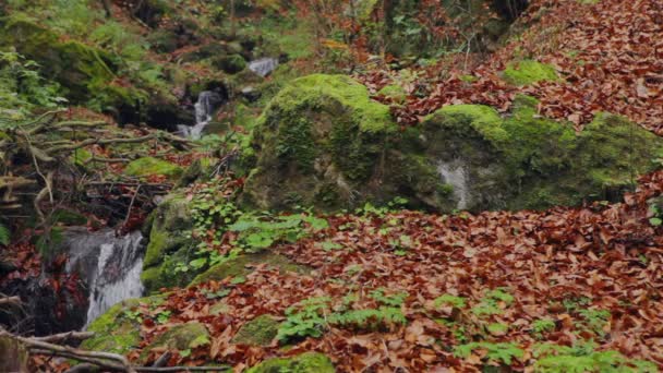 Bela cachoeira na floresta de outono — Vídeo de Stock