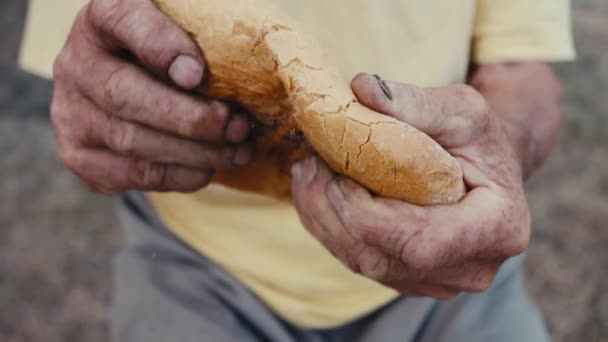 Um pão nas mãos de um homem velho — Vídeo de Stock