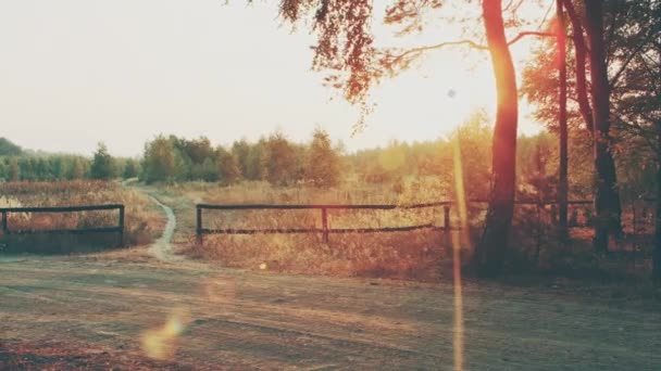DOLLY MOTION: Estrada rural em uma manhã de outono nebulosa . — Vídeo de Stock