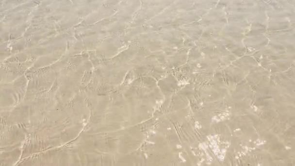 Malé vlna vody na jasné písečné pláži — Stock video