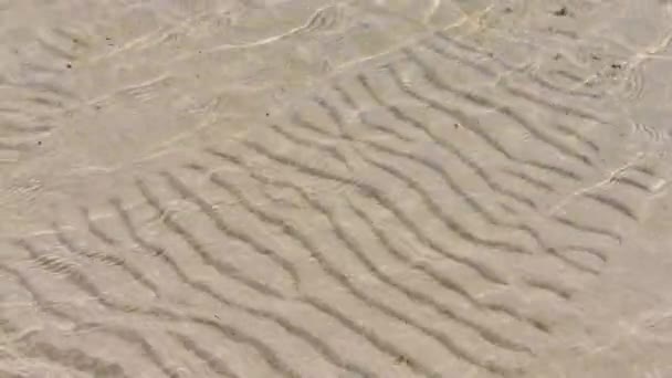 透明な水の波紋、砂の波や日光のまぶしさ。海の底のパターン — ストック動画