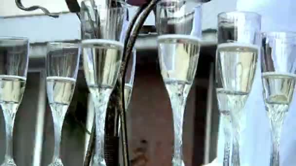 Mycket glas med champagne under festbordet — Stockvideo