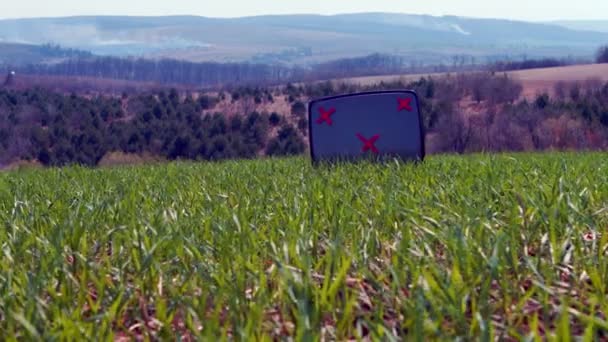 TV sobre hierba verde — Vídeos de Stock