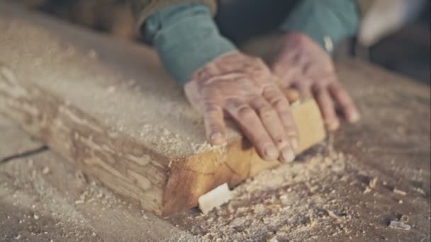 Mano de viejos maestros a bordo de aserrín de roble — Vídeos de Stock