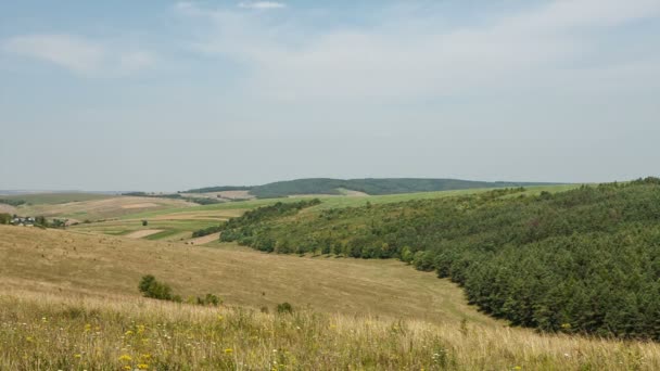 Primavera en la montaña — Vídeos de Stock