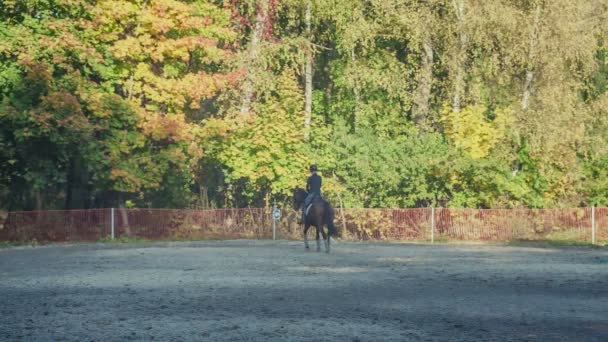 Två tjejer Rider en häst — Stockvideo