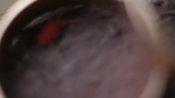 Czerwony chrząszcz na obrączki — Wideo stockowe