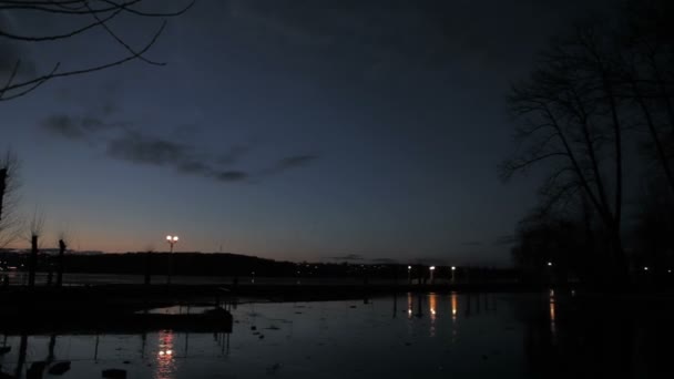 Evening park near water — Stock Video