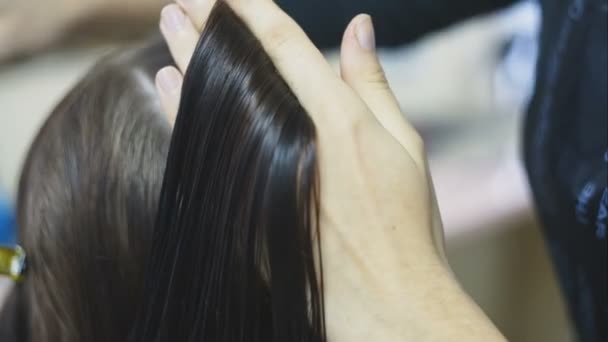 Hairdresser cutting hair. closeup — Stock Video