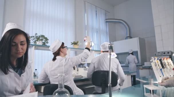 Concepto de laboratorio, química y ciencia. Equipo científico trabajando en un laboratorio . — Vídeos de Stock