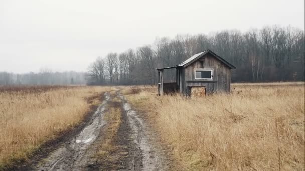 Old oblique wooden shed house in meadow near the forest — Stock Video