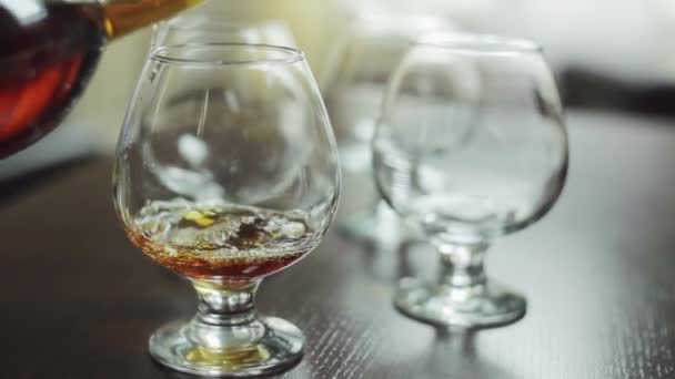 Przedsiębiorcy doceniają wylewanie whisky — Wideo stockowe