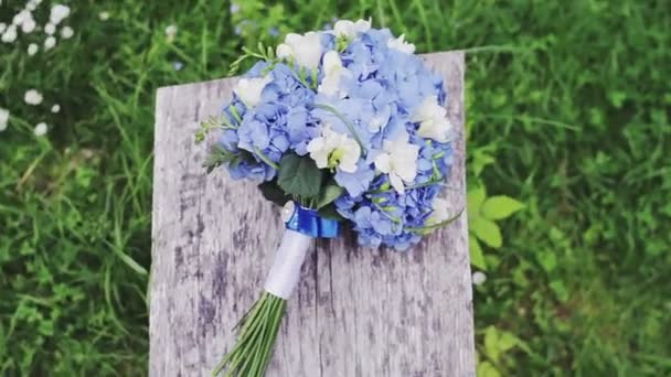 Bukett. Hydrangea blomman — Stockvideo