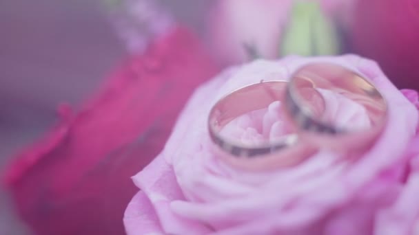 Anillos de boda acostados en rosa — Vídeos de Stock