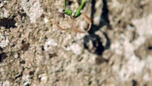 Wedding rings in the sun — Stock Video