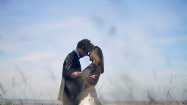 Boda pareja besándose en campo — Vídeos de Stock