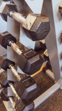 Spor salonunda vücut geliştirme ve spor aktiviteleri için farklı ağırlıklarda dambıllar.