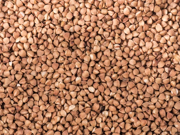 Buckwheat — Stock Photo, Image