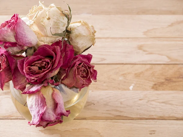 Withered roses — Stock Photo, Image