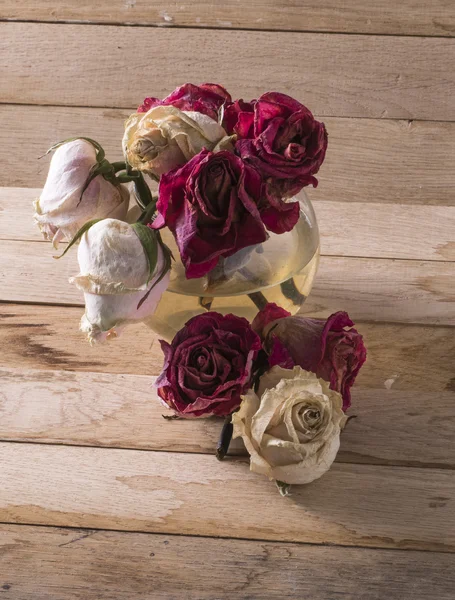 Withered roses — Stock Photo, Image