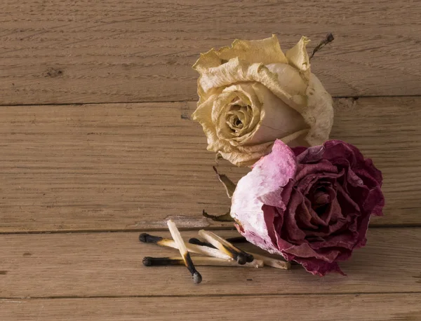 Withered roses — Stock Photo, Image