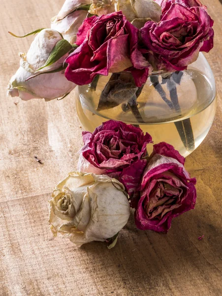 Withered roses — Stock Photo, Image